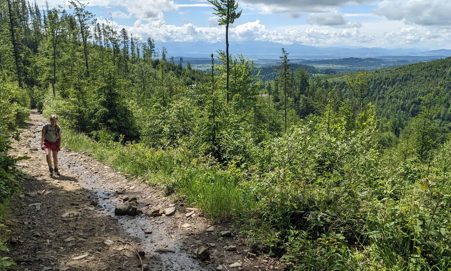 I znowu wąską ścieżką pod górę... tym razem z widokiem na Tatry Zachodnie