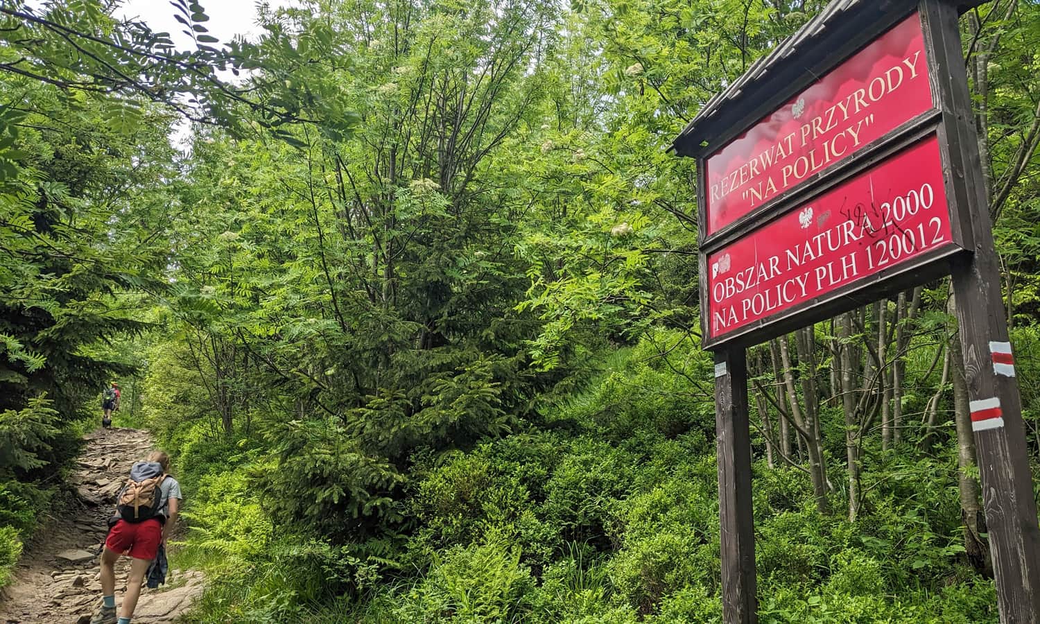 Z Przełęczy Kucałowej na Policę - granica rezerwatu 