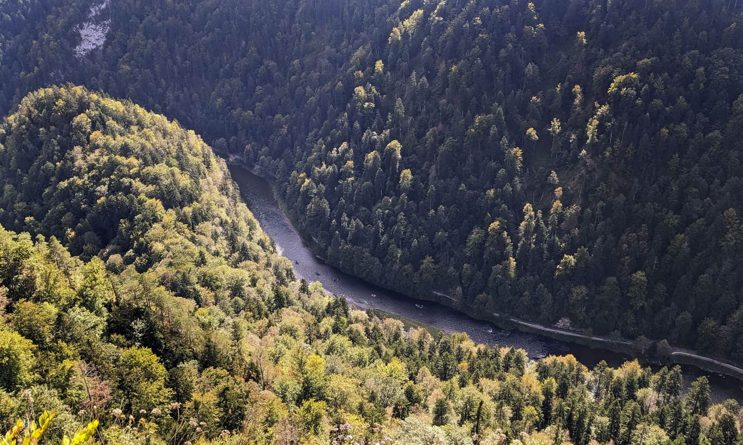 Dunajec Gorge from Sokolica