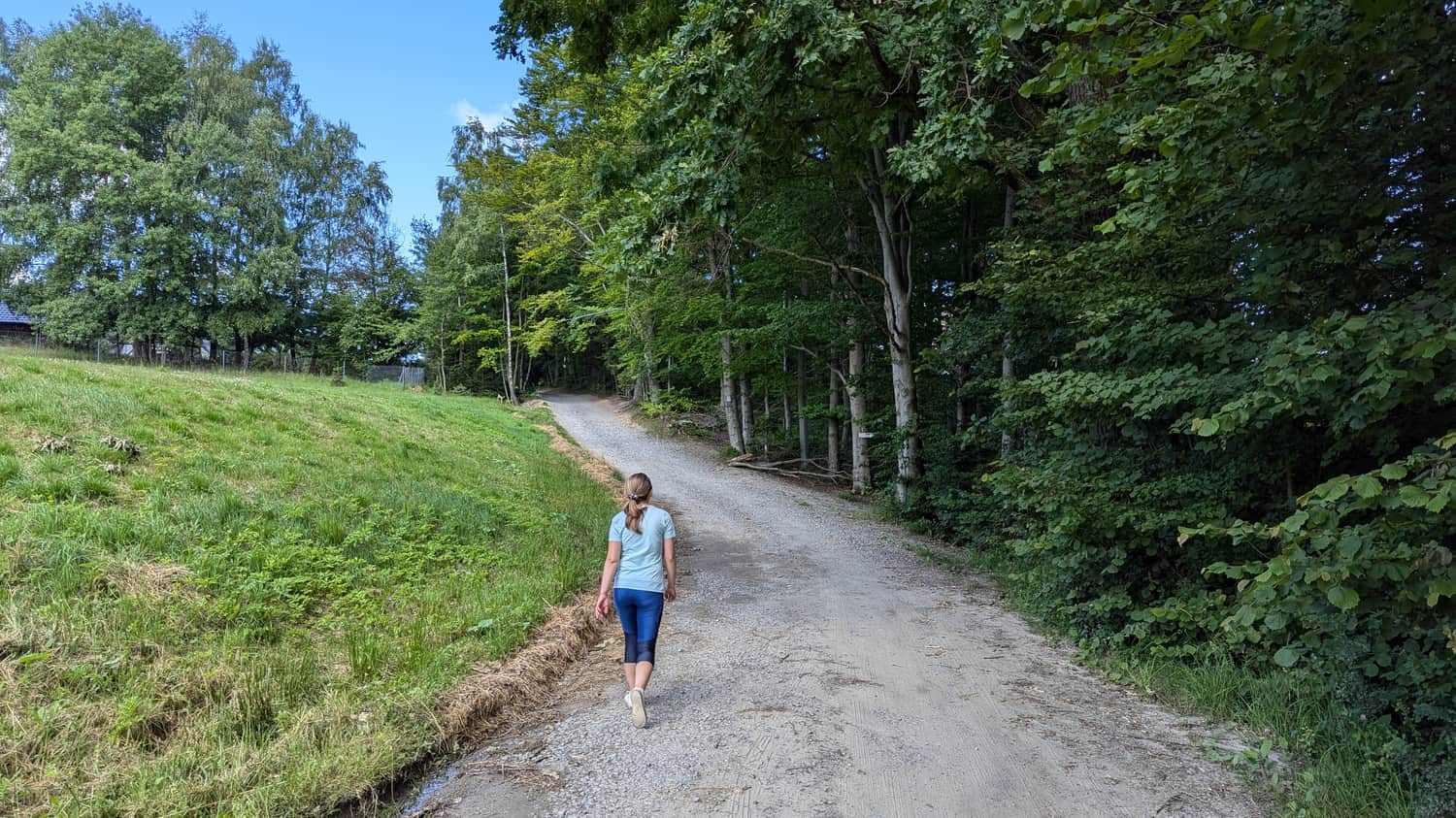 Kamienista droga dojazdowa do wieży i bacówki