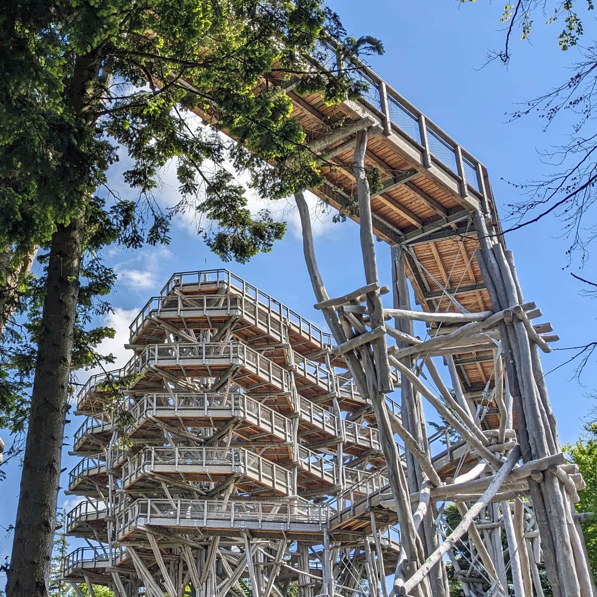 Słotwiny: wieża widokowa i ścieżka w koronach drzew w Krynicy-Zdroju