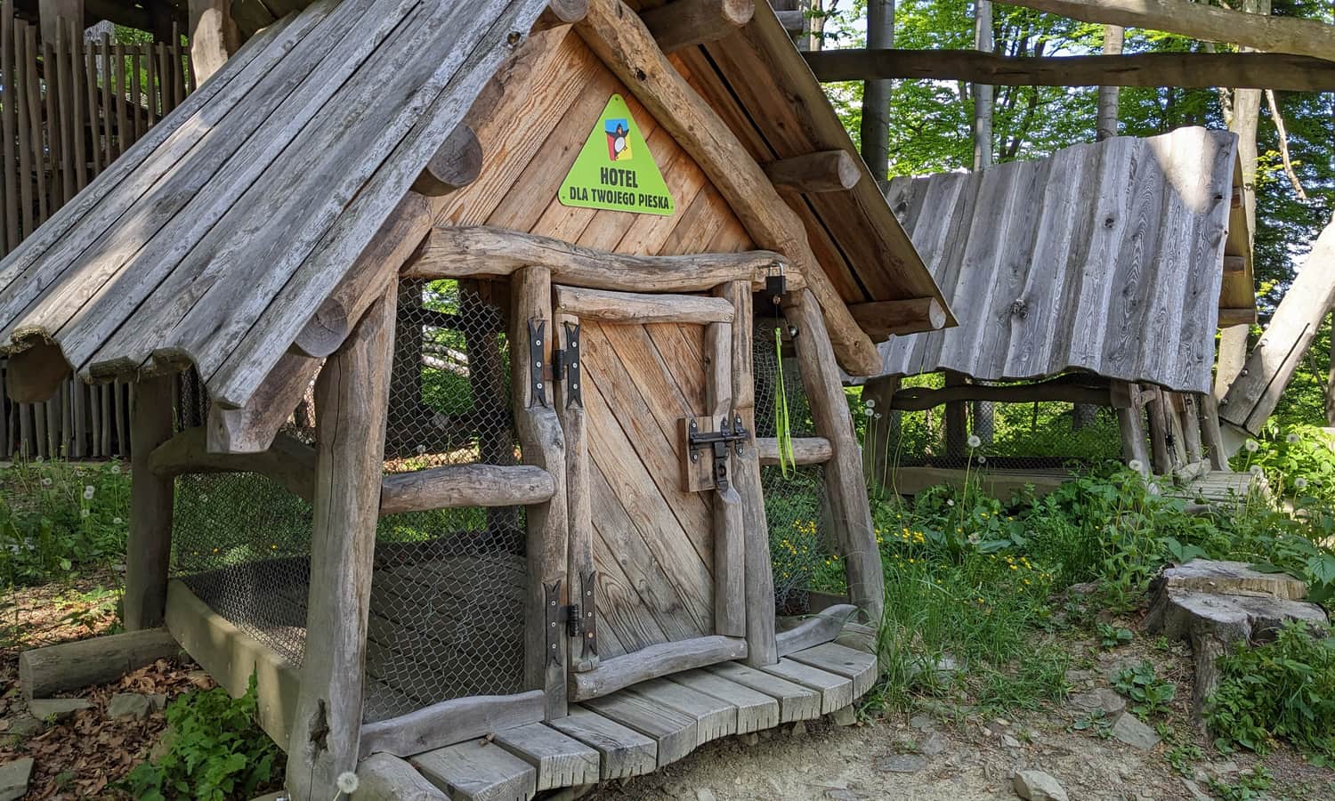 Kojce dla psów