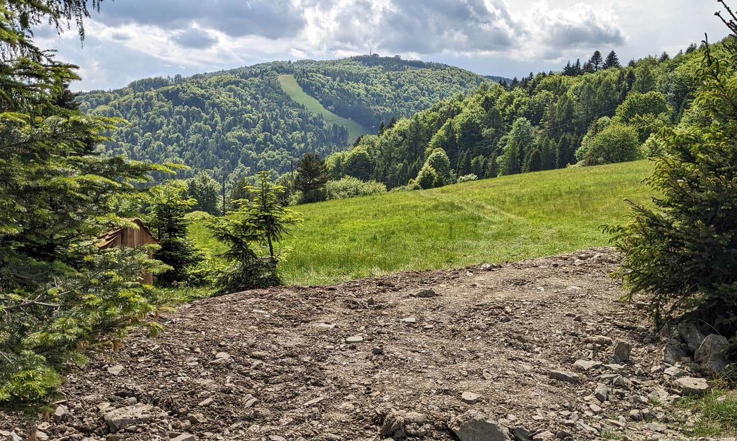 Jaworzyna Krynicka - widok z łąk pod Drabiakówką (okolice wieży Słotwiny)