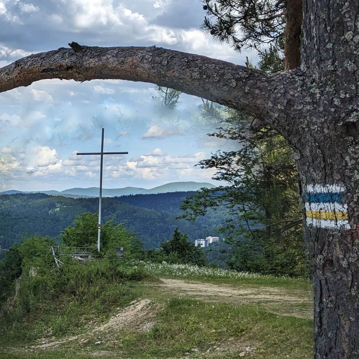 Żółty i niebieski szlak z Krynicy-Zdroju na Górę Krzyżową i wieżę Słotwiny