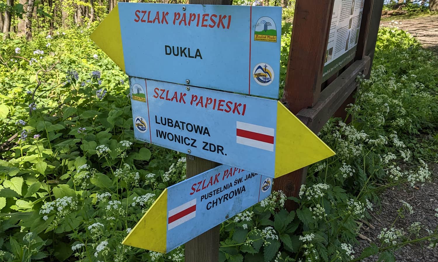 Skryżowanie szlaków na szczycie Cergowej