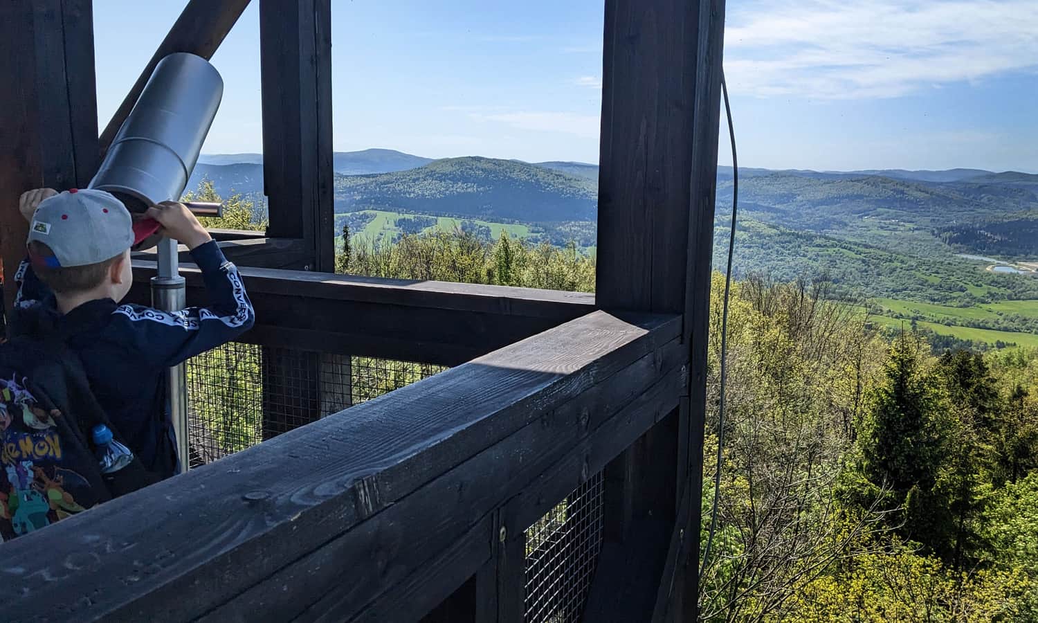 Widok z wieży na Cergowej