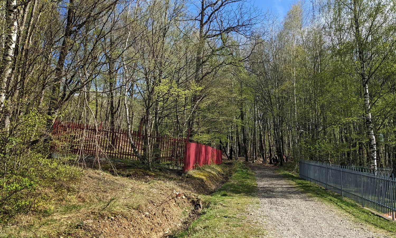Zielony szlak na Ferdel - wejście w las