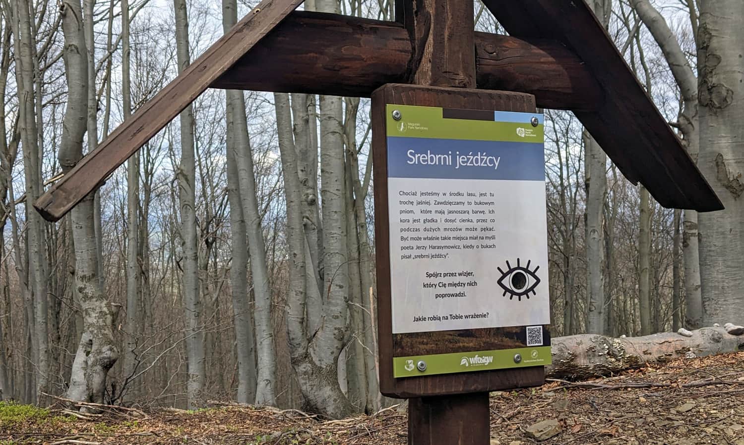 Buczynowa Ścieżka na Ferdlu - przykładowy przystanek