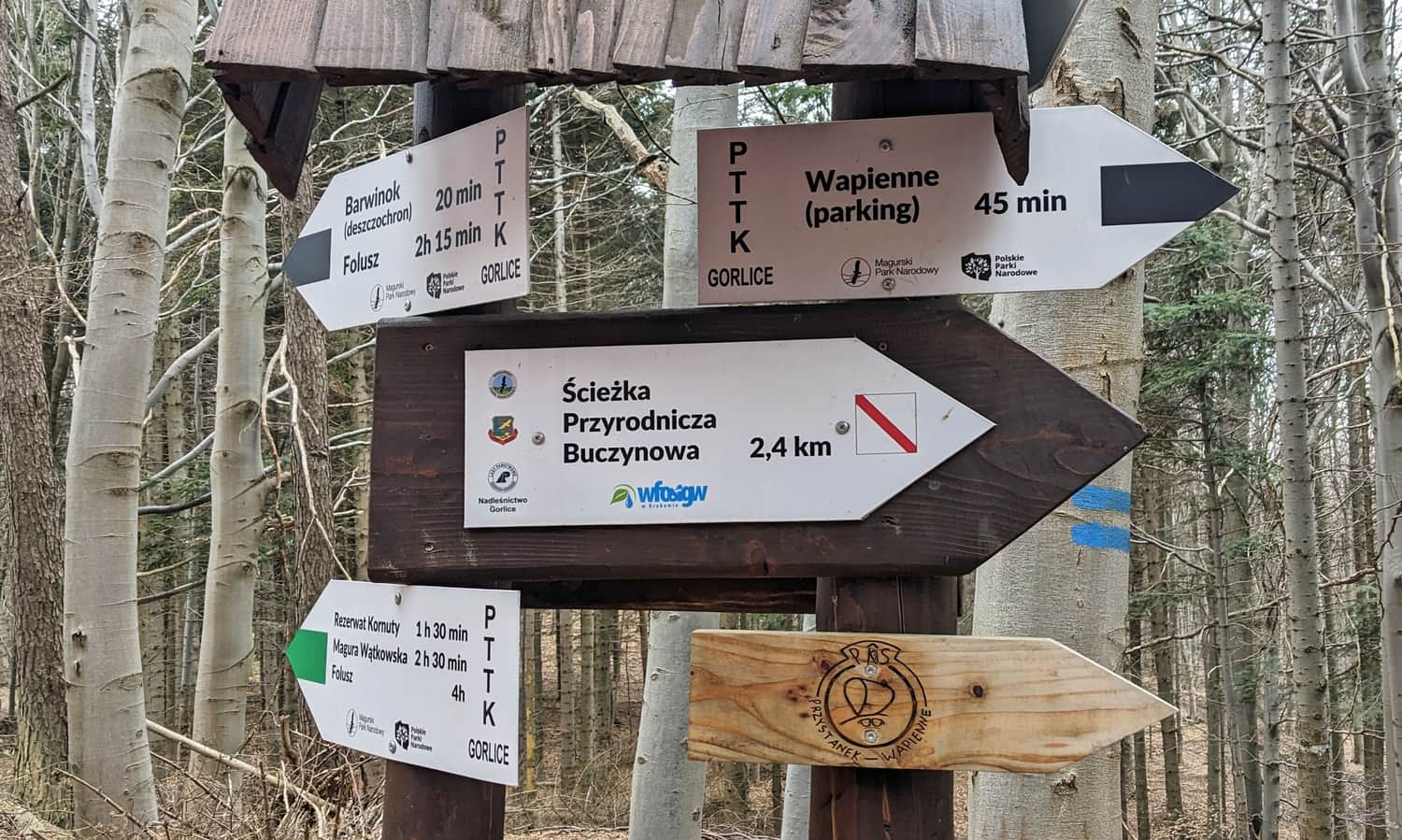Skrzyżowanie szlaków pod wieżą widokową na Ferdlu