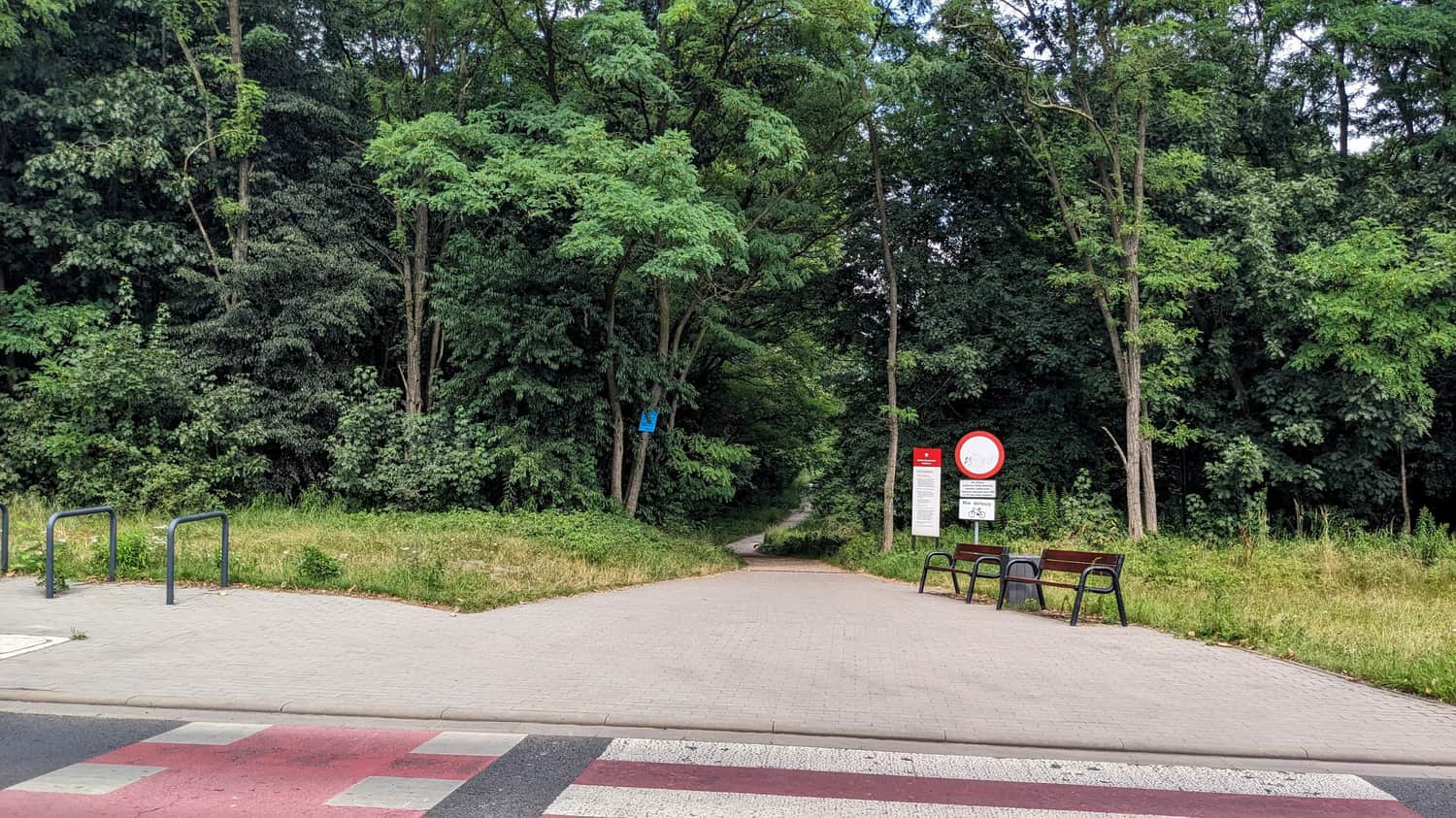 Ścieżka z kąpieliska Pogoria III do zbiornika Pogoria II
