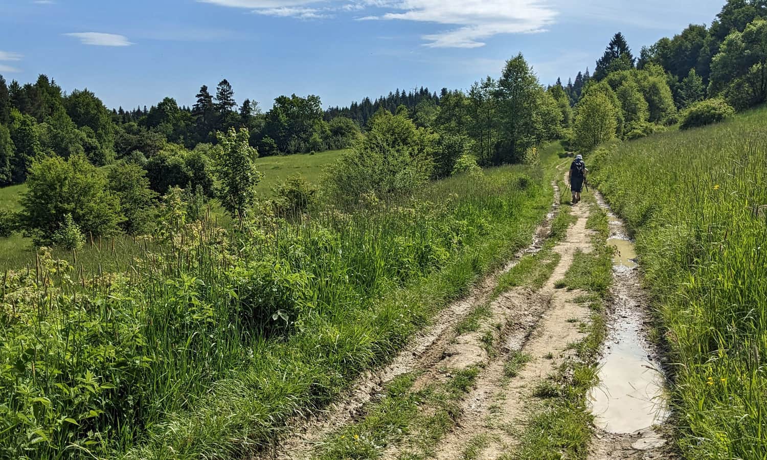 Niebieski szlak z Rabki-Zdroju do wieży widokowej na Polczakówce