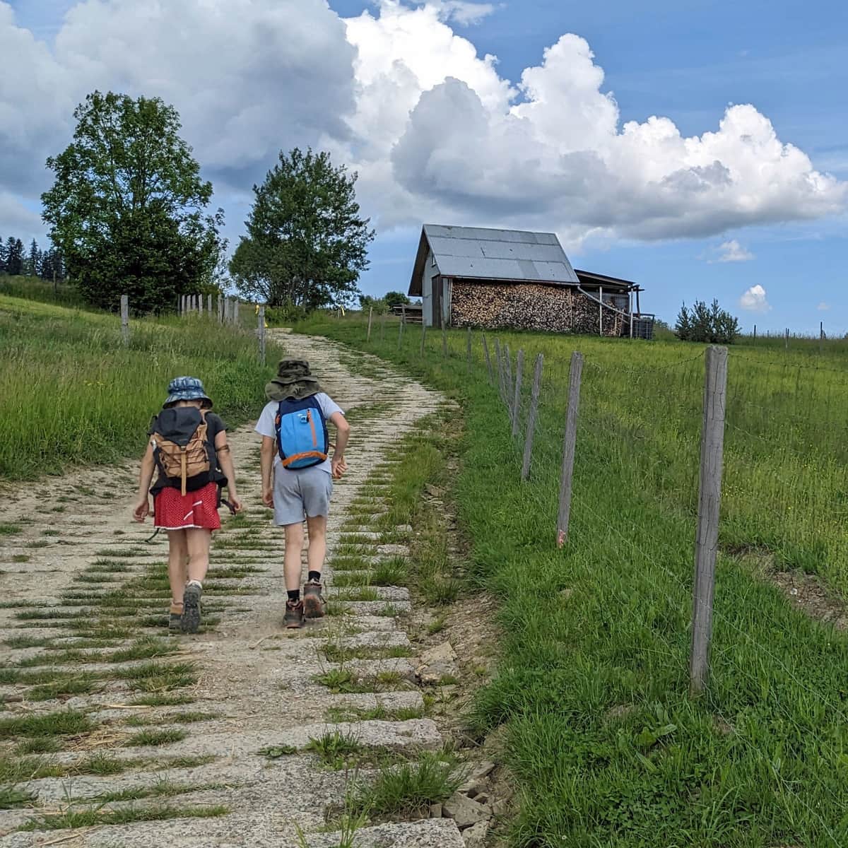 g2