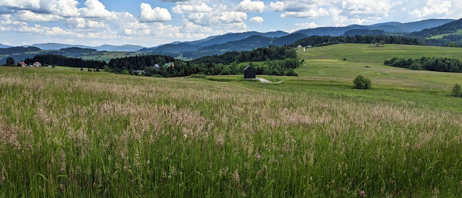 Grzebień. Widok z łąk na wschód: Beskid Wyspowy i Gorce