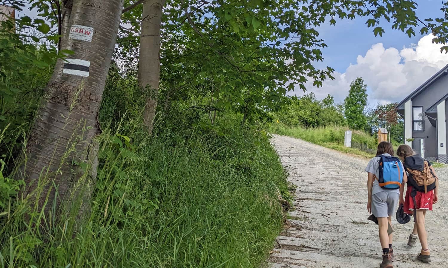 Czarny szlak z Rabki-Zdrój na Grzebień i do Rabki Zaryte