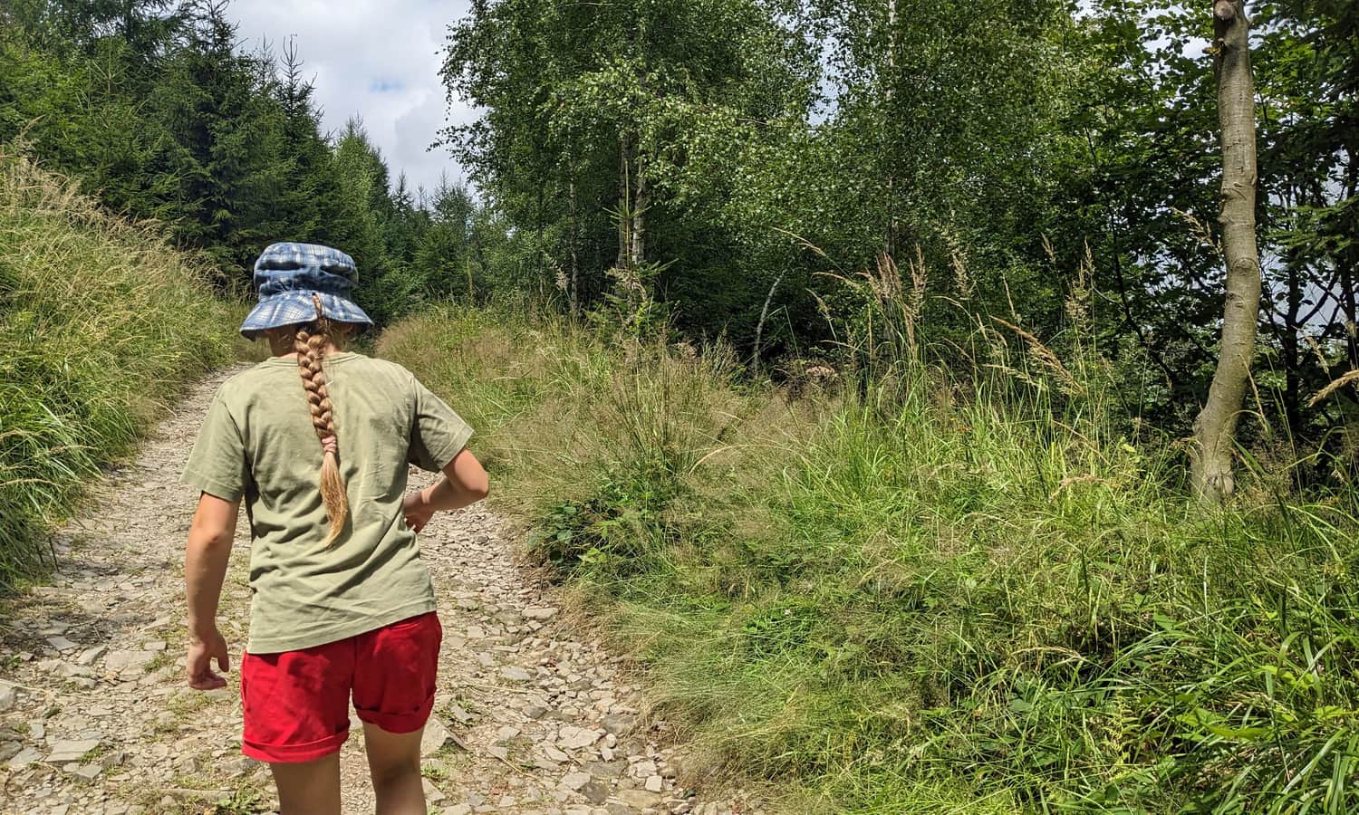 Approaching Stefanka mountain hut on Kozia Góra via the blue trail