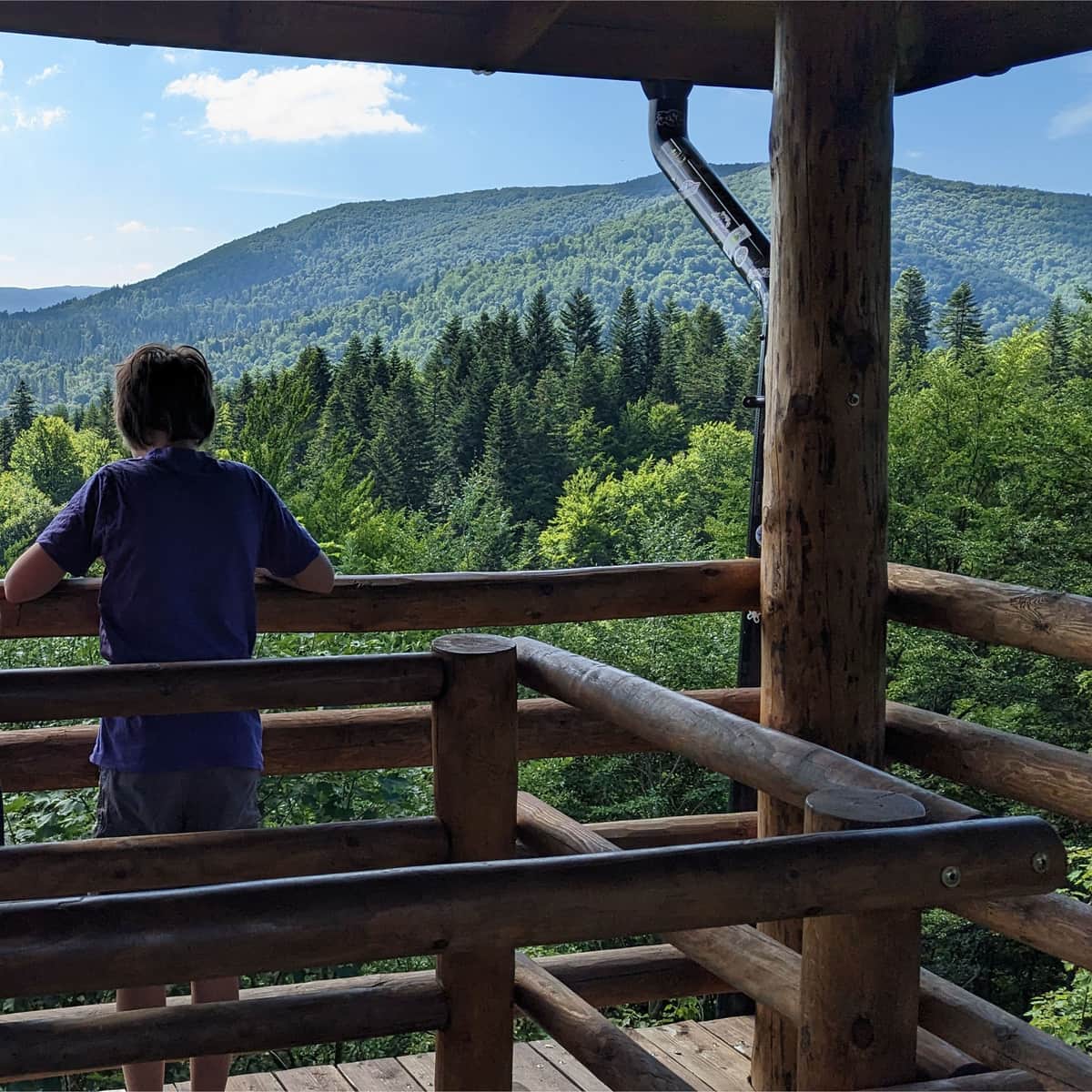 Wieża widokowa Szczerbanówka na Przełęczy Przysłup nad Cisną