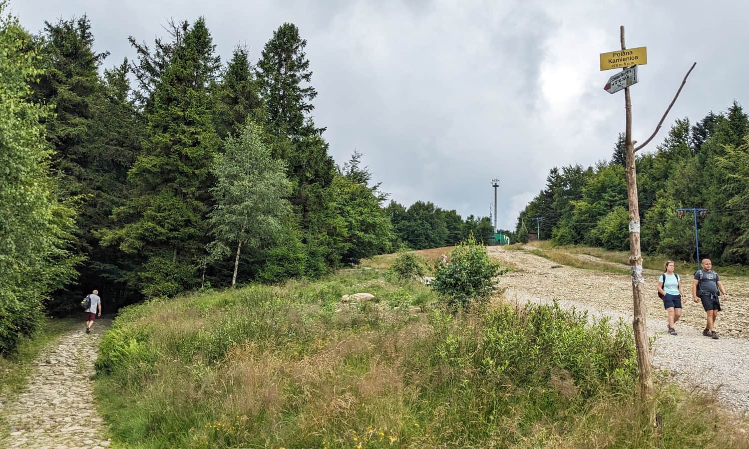 Polana Kamienica under Szyndzielnia