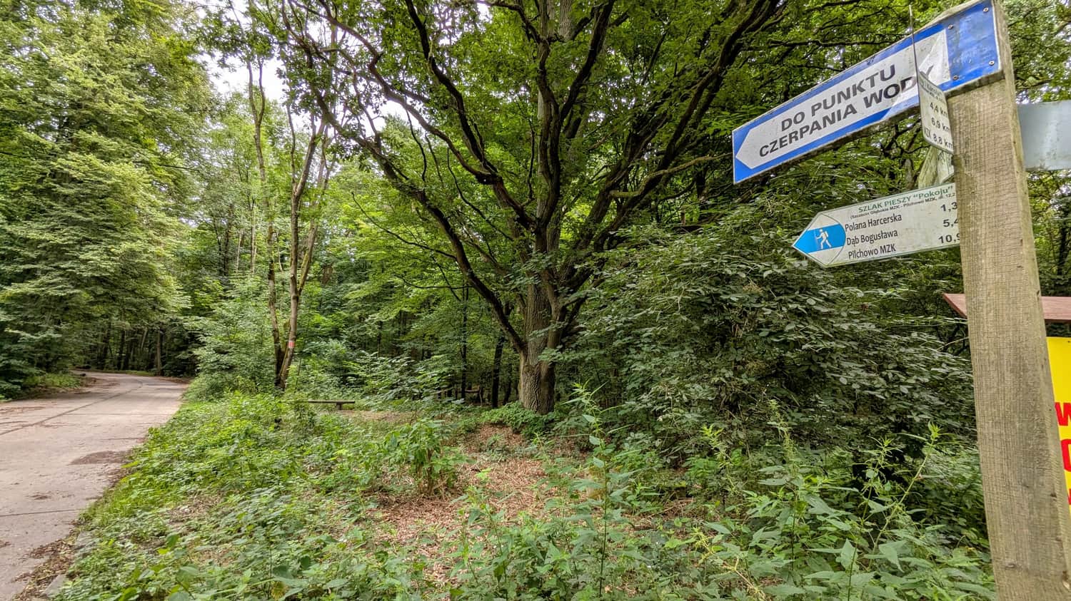 Droga Siedmiu Młynów w Lesie Arkońskim