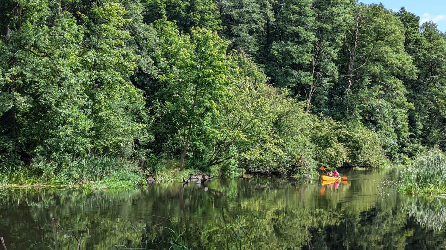 Przepływ kajakiem rzeką Regą