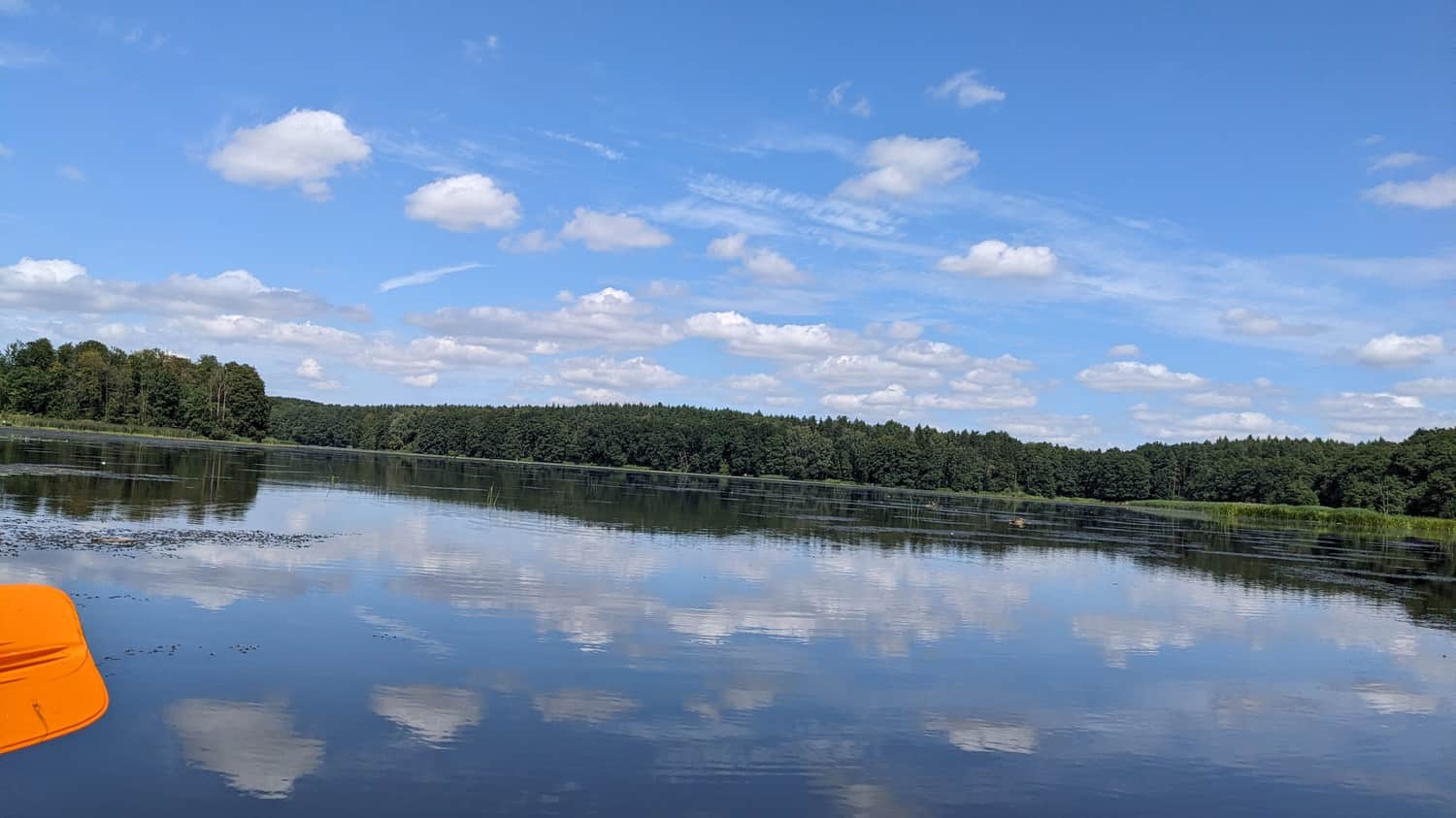 Jezioro Rejowickie widziane z kajaka