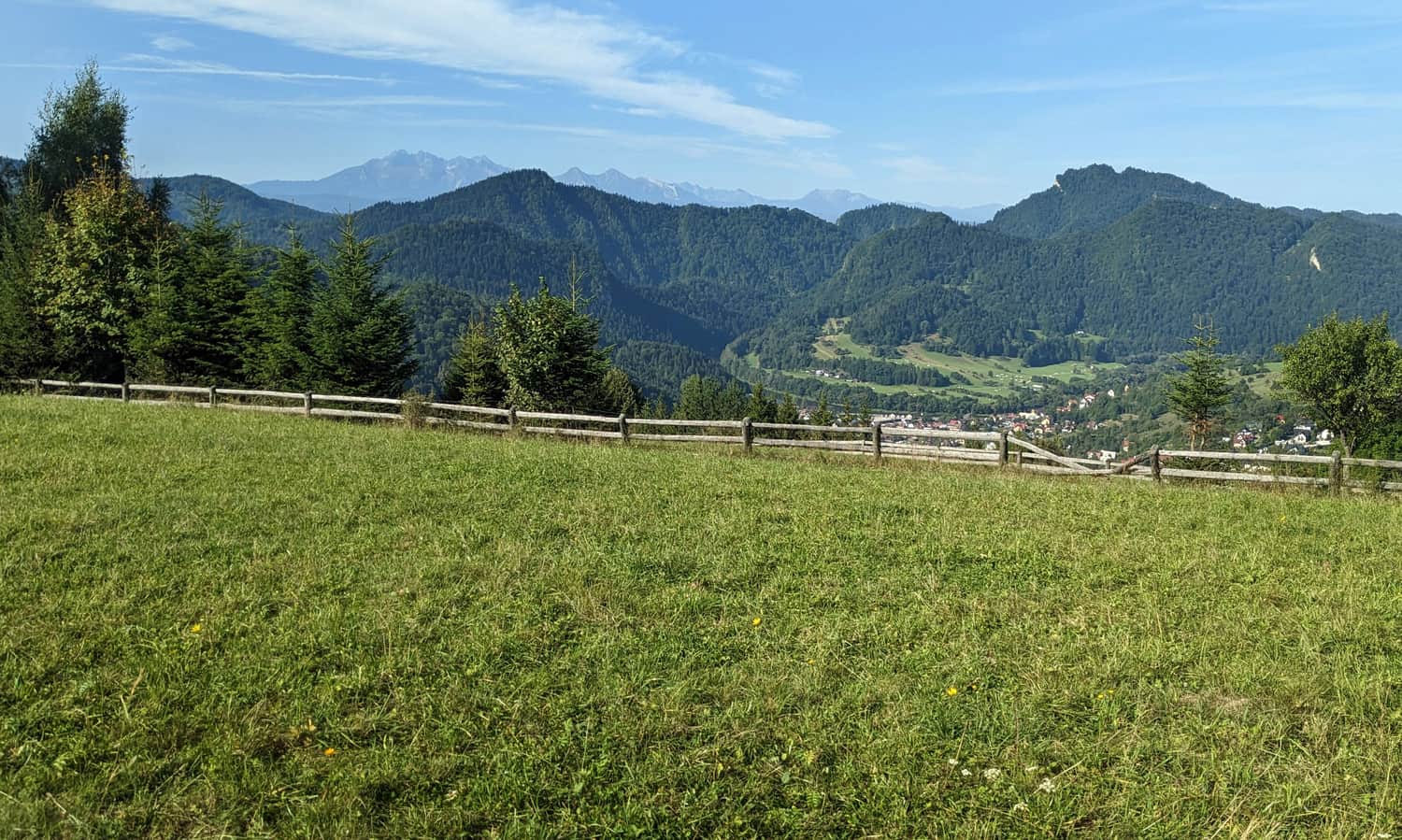 Żółty szlak ze Szczawnicy. Widok z łąk między Bryjarką a Bereśnikiem na Pieniny i Tatry.