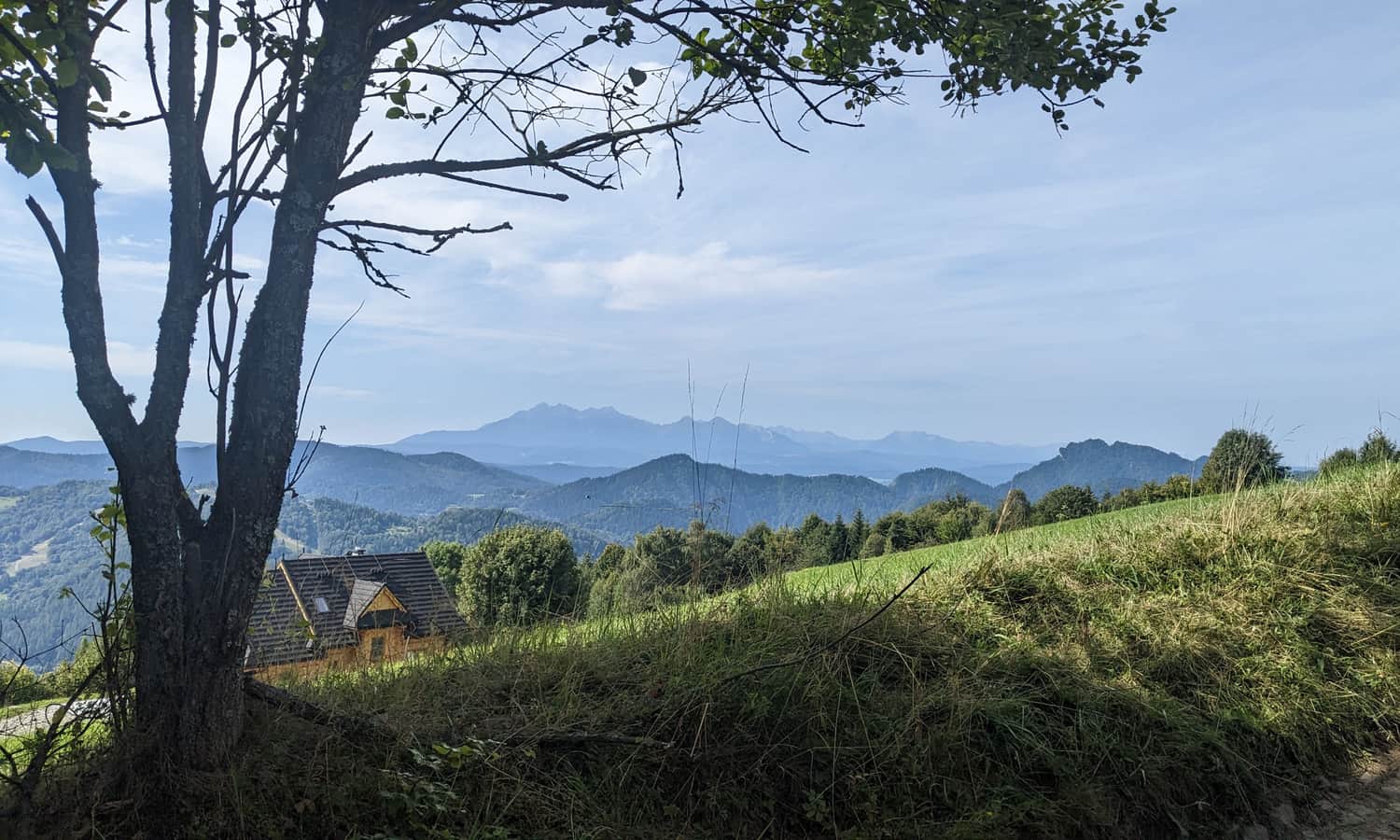 Czarny szlak Sewerynówka - Bereśnik. Widok z polany na Pieniny i Tatry