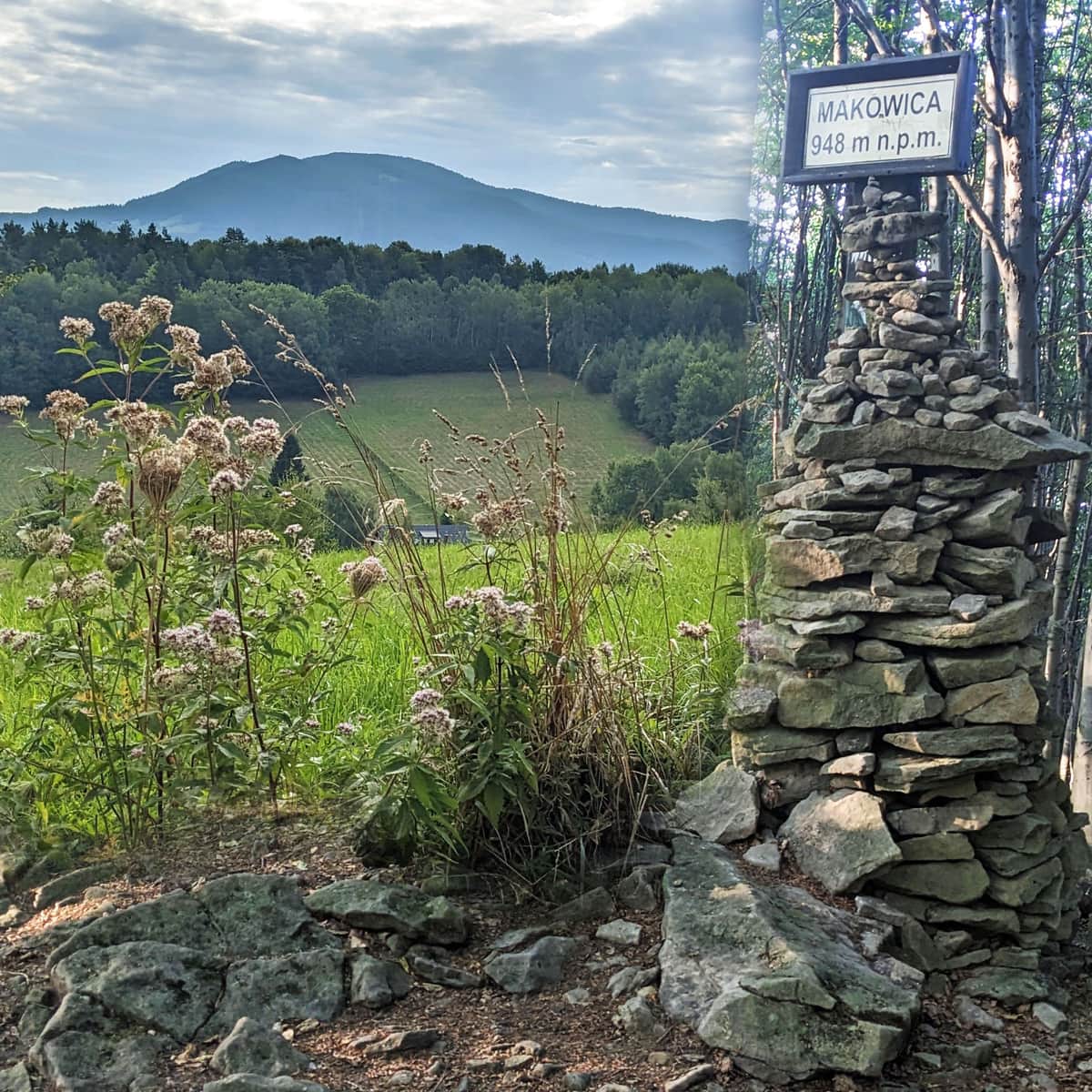 Z Barcic na Makowicę: ślimak w Woli Kroguleckiej i most nad Życzanowskim Potokiem