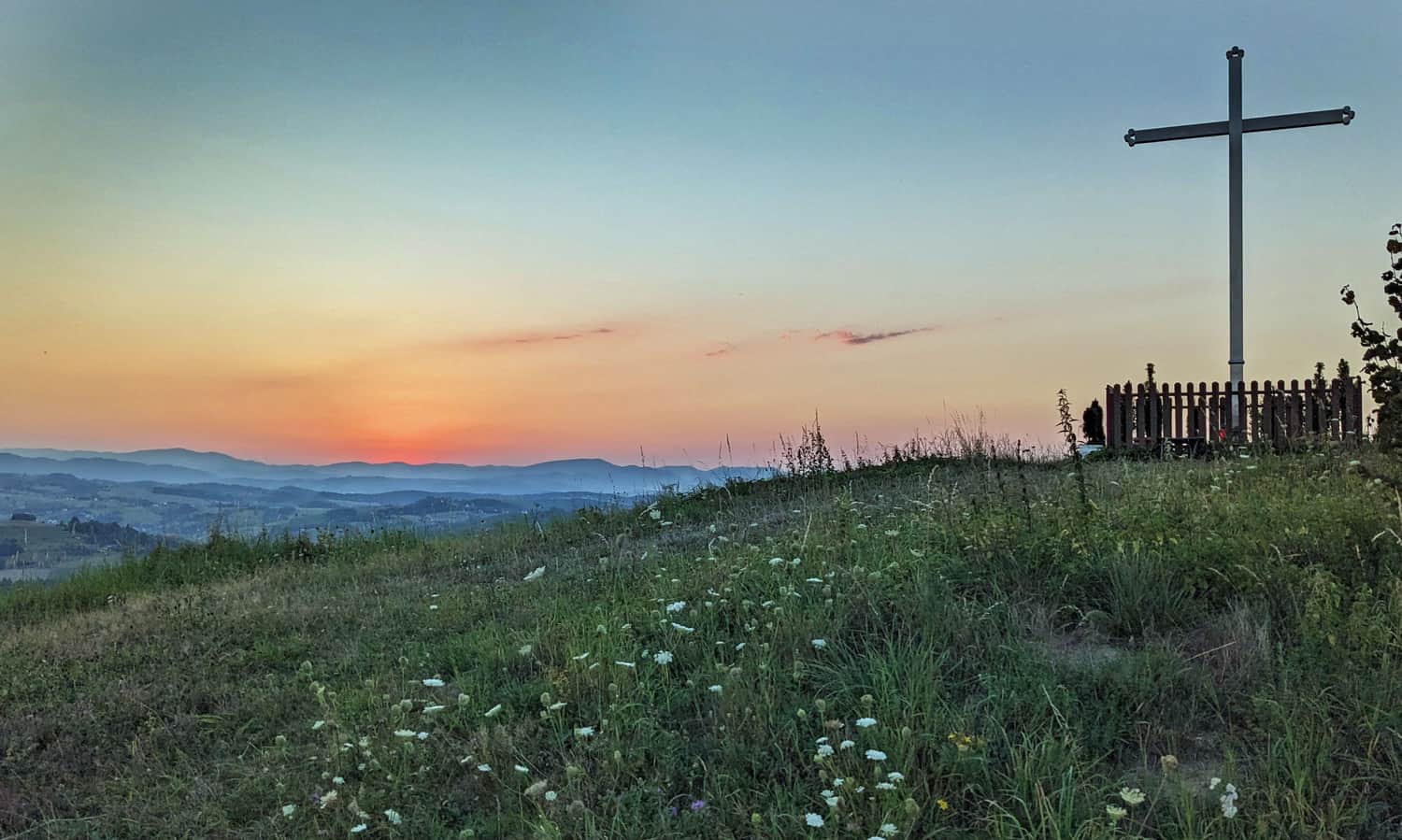 Dzielnica, 539 m n.p.m. - widokowy szczyt nad Wolą Krogulecką