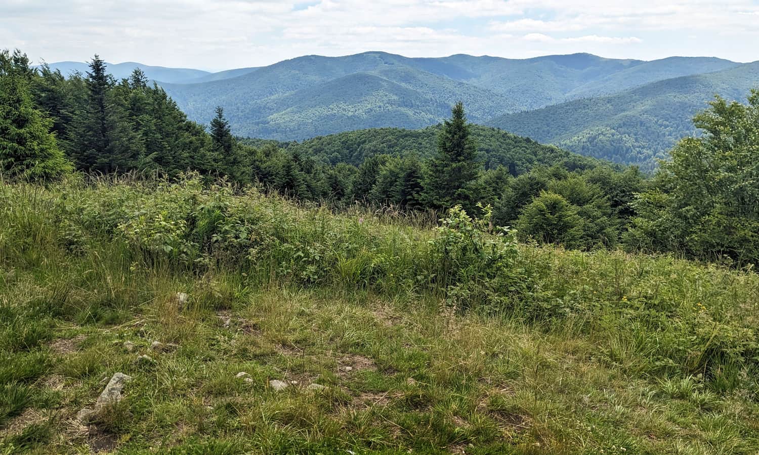Fereczata, 1102 m n.p.m. - widok na Pasmo Graniczne