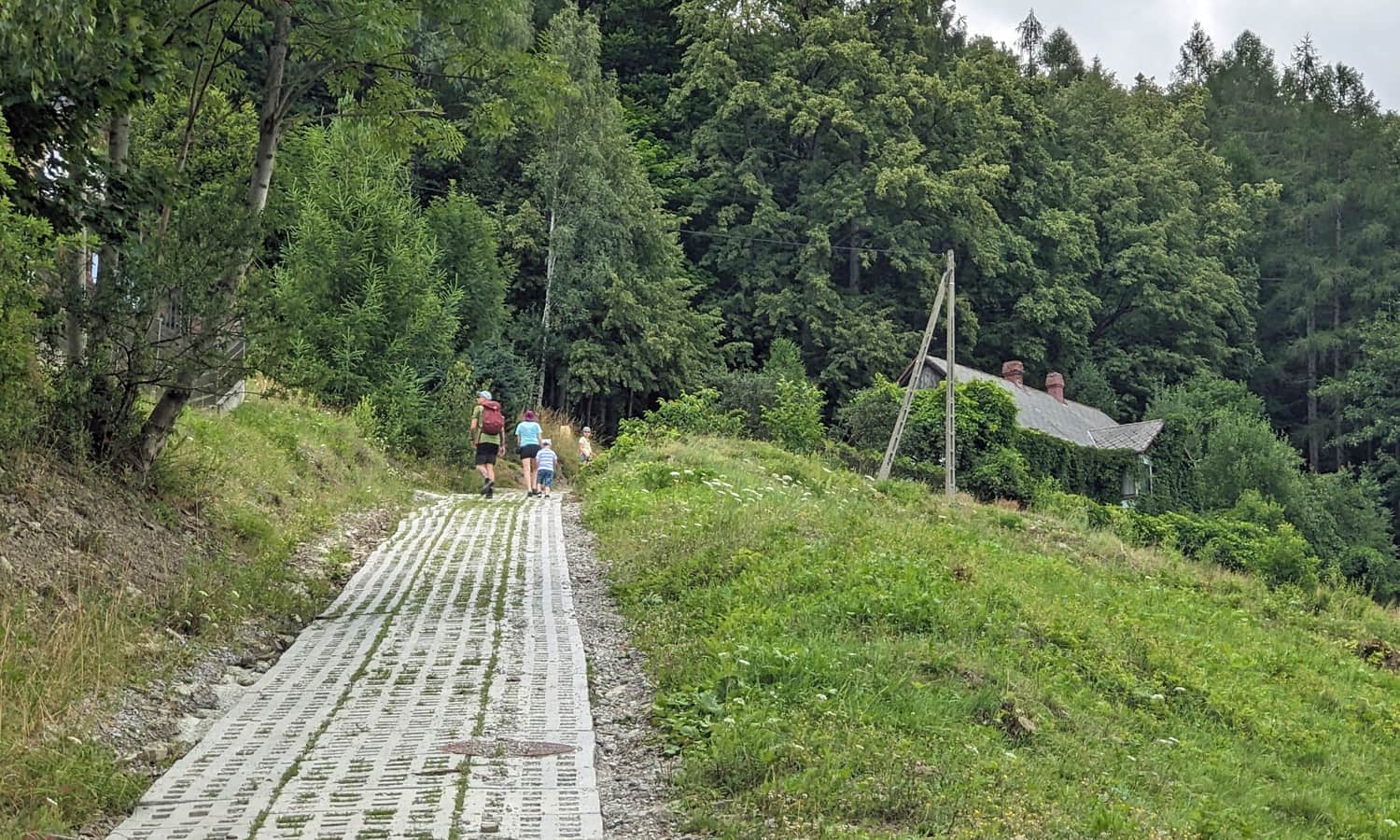 Początek czerwonego szlaku z Bystrej na Kozią Górę