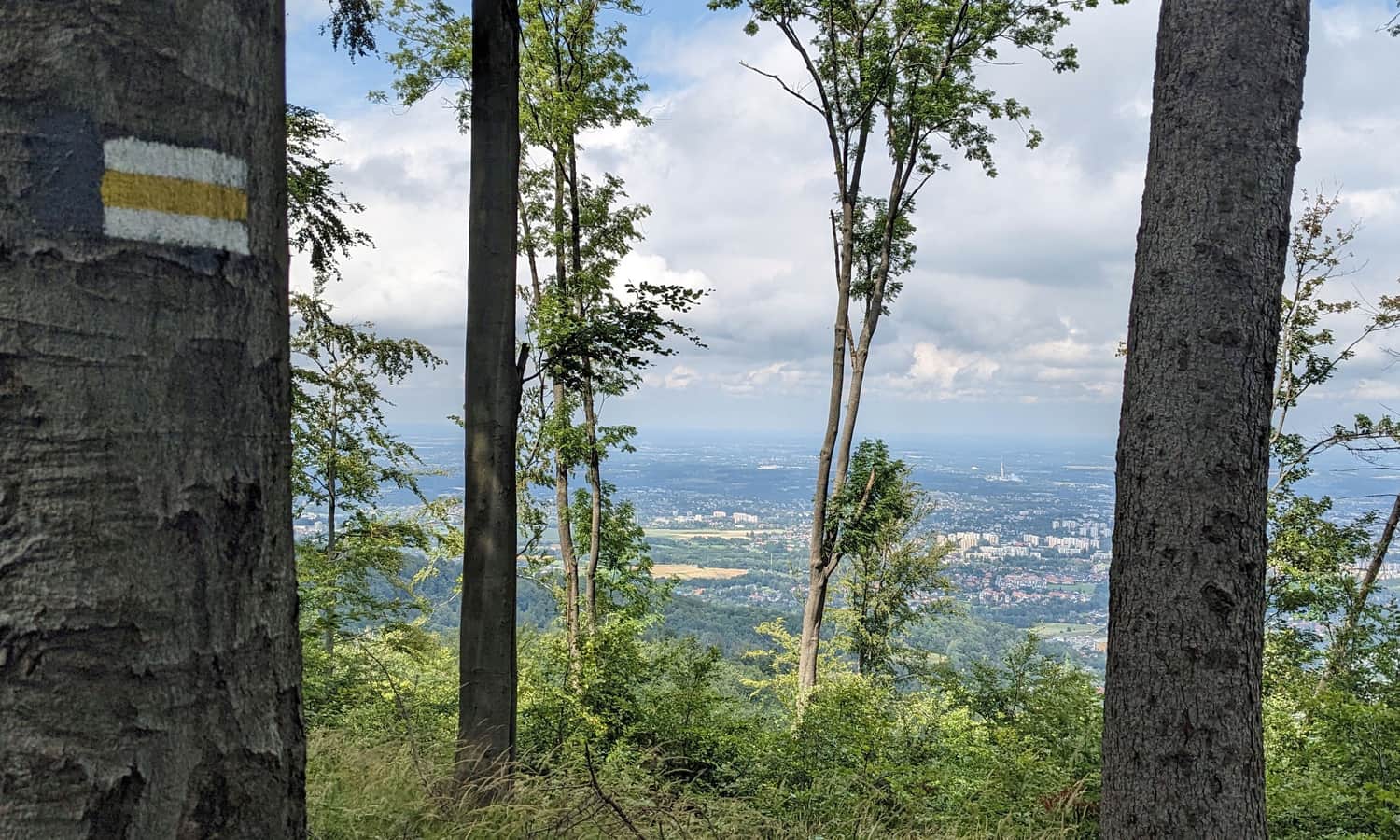 Kołowrót, 788 m n.p.m. - widok na północ