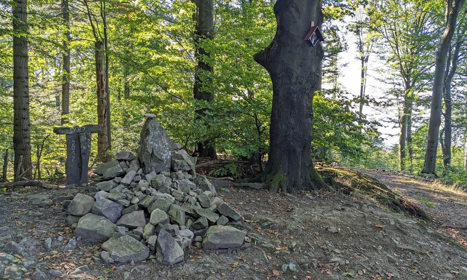 Kozie Żebro, 847 m n.p.m.