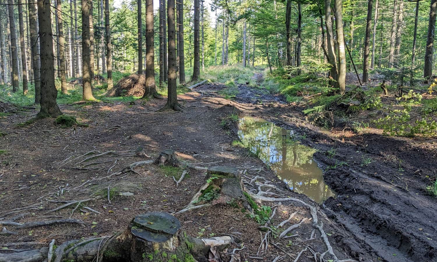 Czerwony szlak na Stożek Wielki - odcinek z Przełęczy Kubalonka na szczyt Beskid