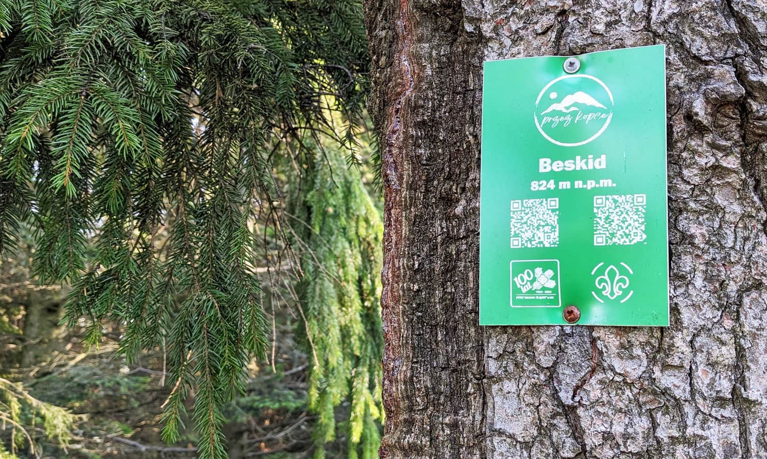 Czerwony szlak na Stożek Wielki - odcinek z Przełęczy Kubalonka na szczyt Beskid