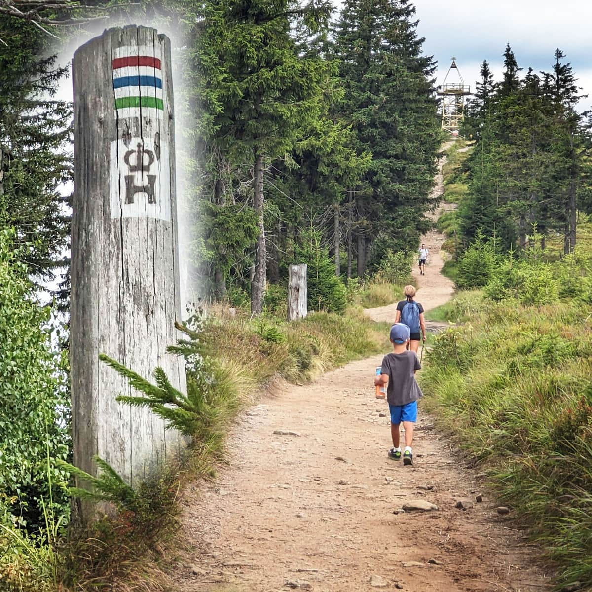 Szlak ze Schroniska PTTK Przysłop na Baranią Górę