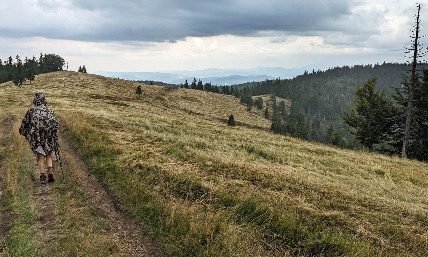 Hala Radziechowska - widok na południowy-wschód