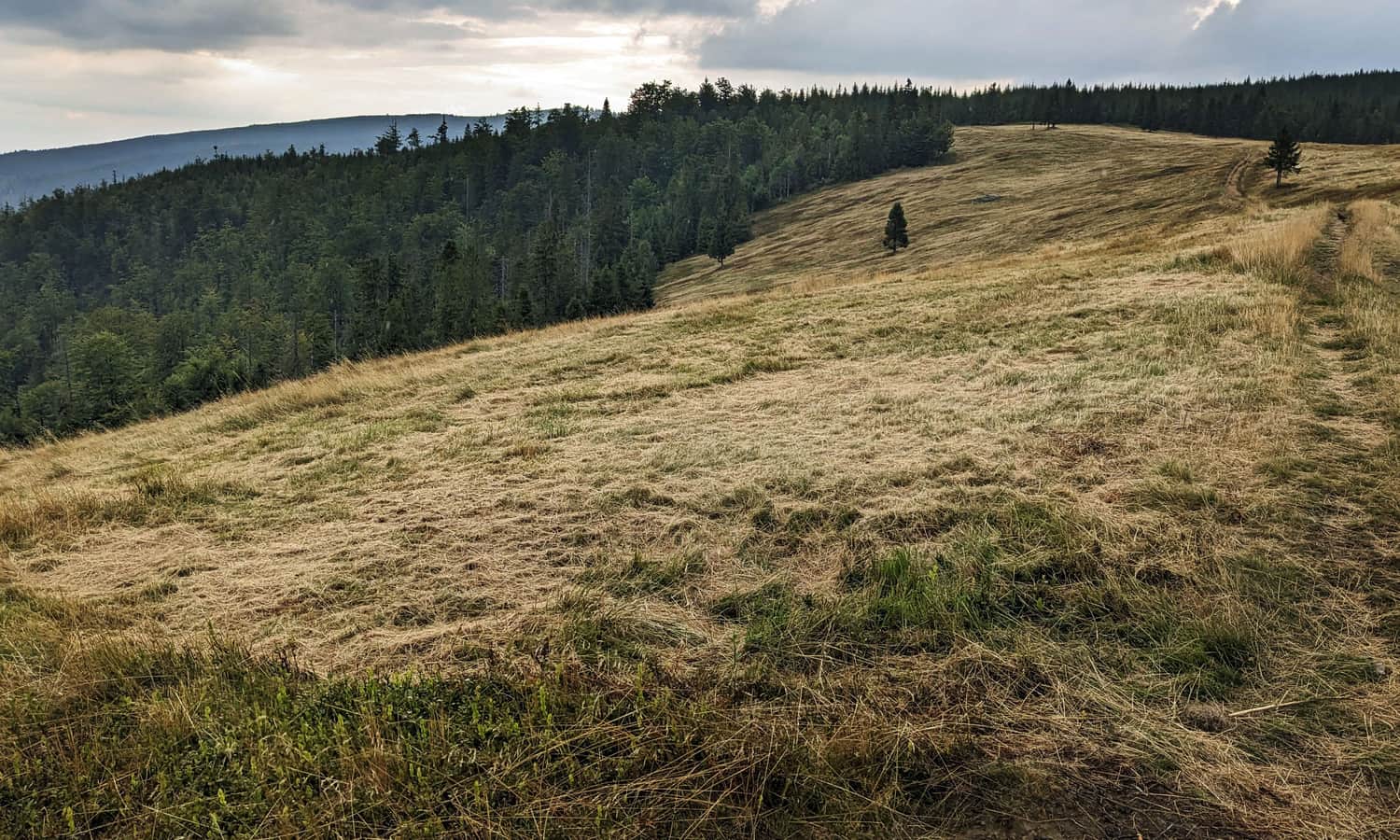 Hala Radziechowska - widok na południowy-zachód
