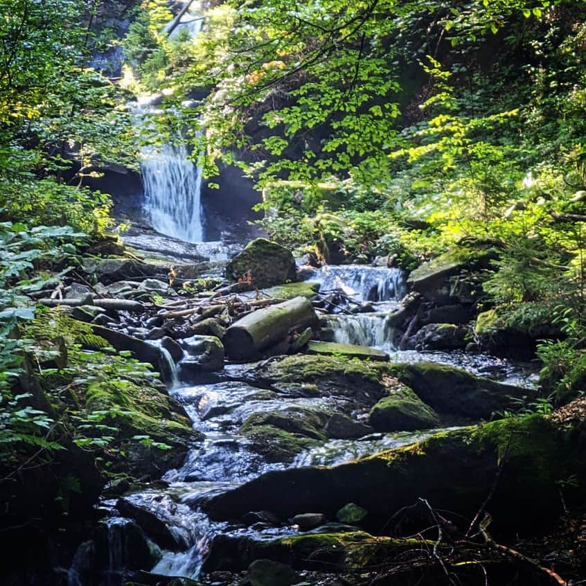 Gdzie jest źródło Wisły?