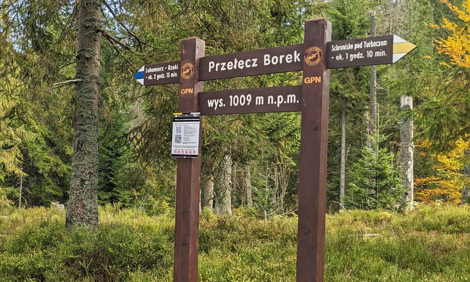Przełęcz Borek na żółtym szlaku Lubomierz - Turbacz