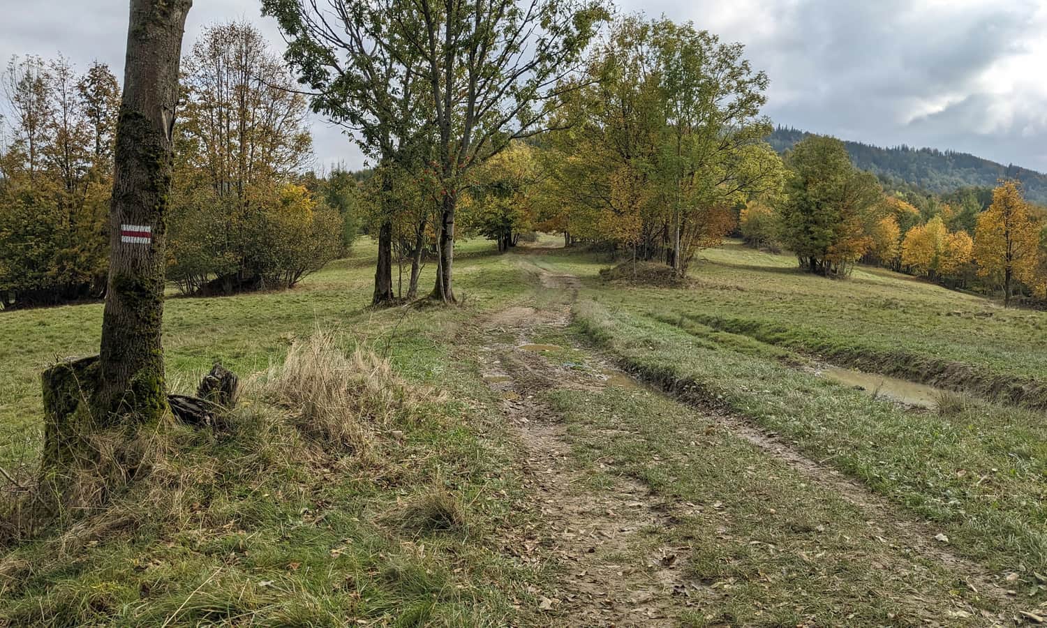 Czerwony szlak Węgierska Górka - Słowianka. Widokowe łąki