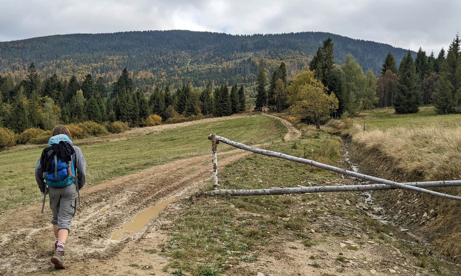 Czerwony szlak Słowianka - Rysianka. Suchy Groń u stóp Romanki