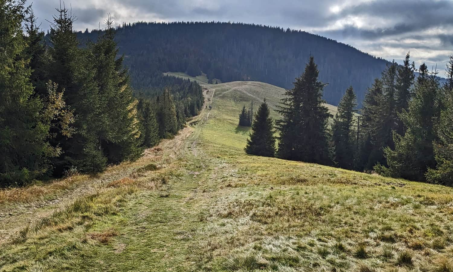Przełęcz i Hala Pawlusia między Romanką a Rysianką