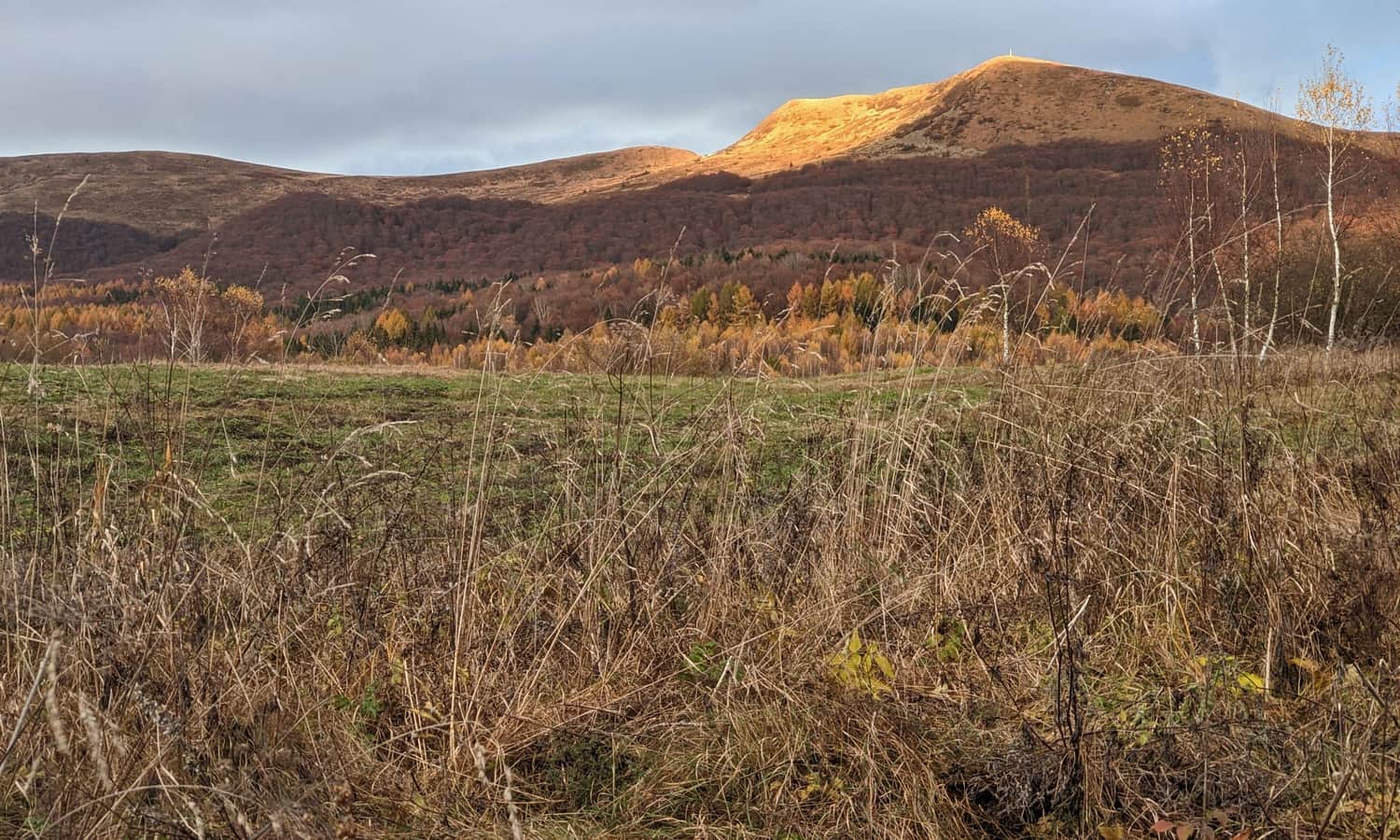 Tarnica spod Przełęczy Beskid jesienią