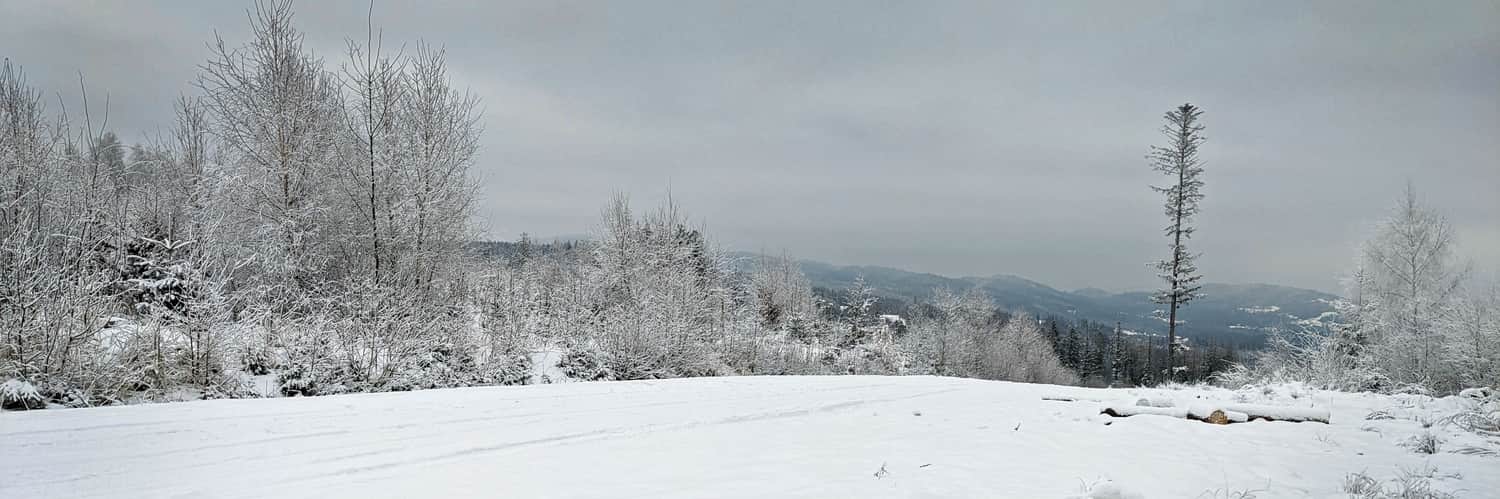 Przełęcz Łączecko - widok na południowy-wschód