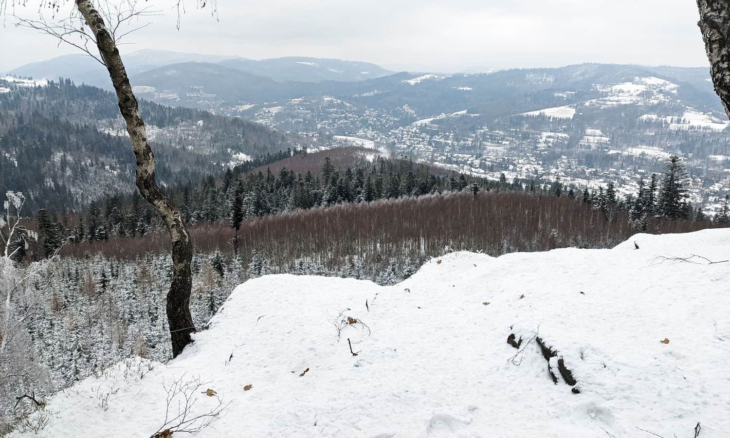 Krzakoska Skała na Kobylej: widok na północ i północny-wschód