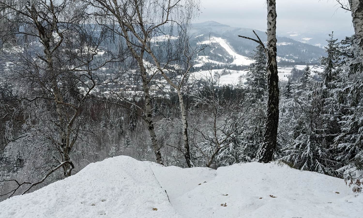 Krzakoska Skała na Kobylej: widok na wschód.