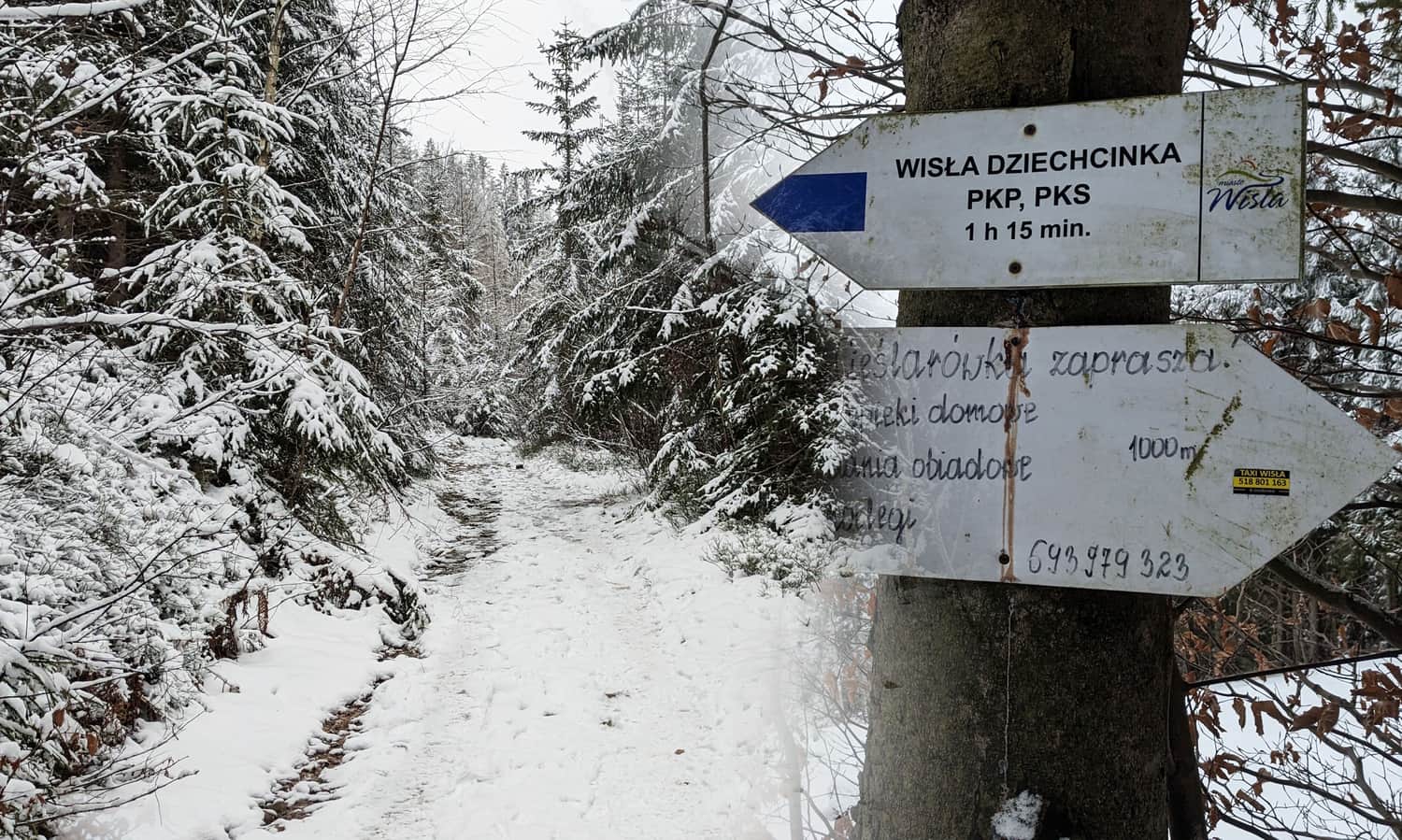 Niebieski szlak Wisła Dziechcinka - Krzakoska Skała