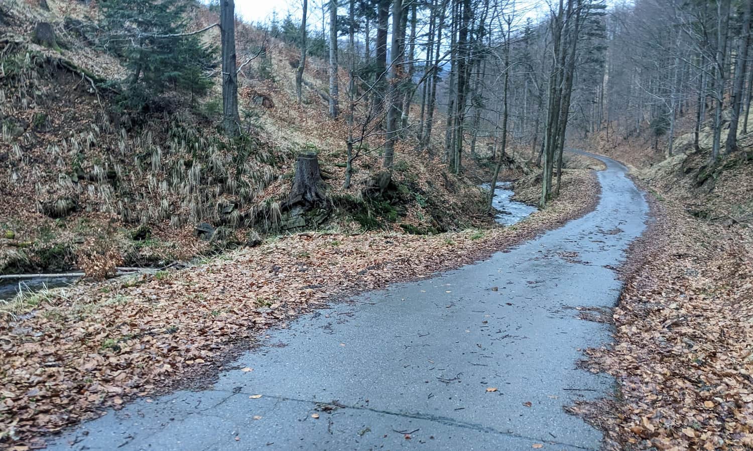 Dolina Potoku Śrubita - dojście do Beskidzkiej Zielonej Ścieżki