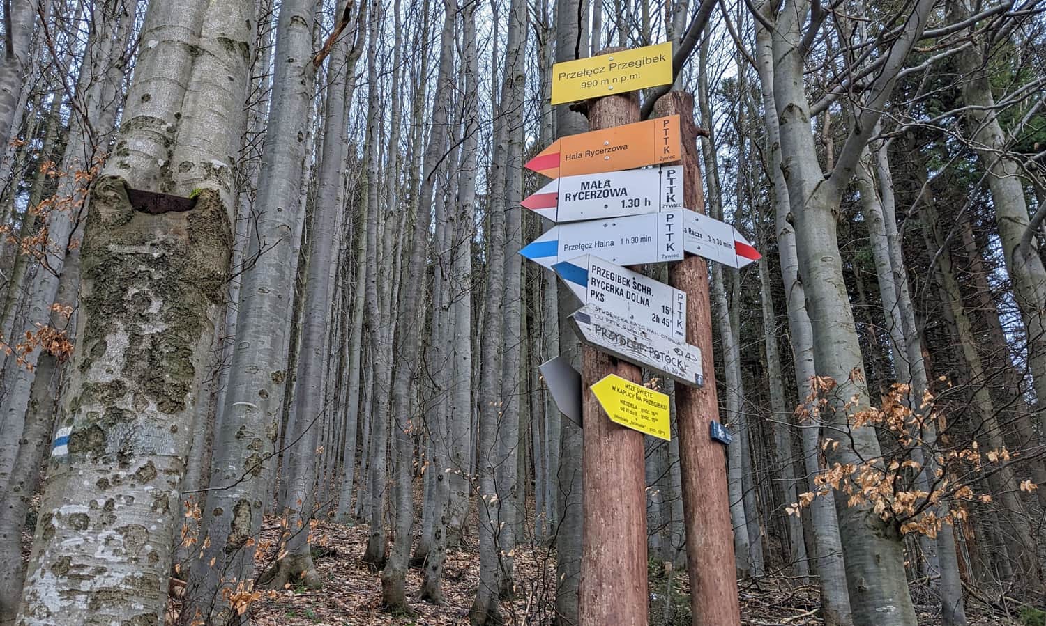 Przełęcz Przegibek