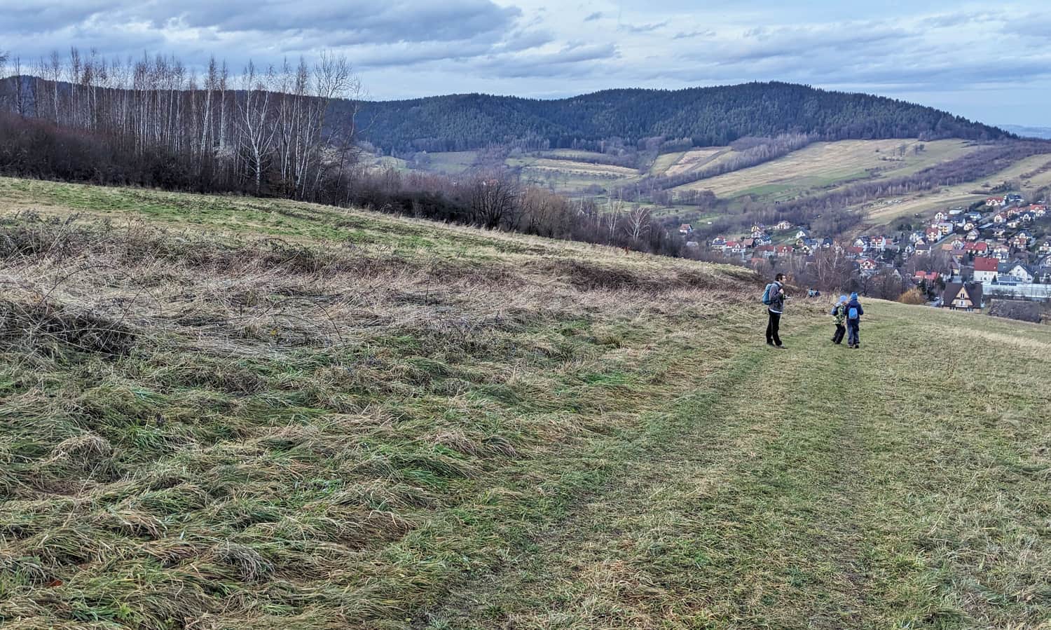 Zejście polnymi drogami z Plebańskiej Góry do Myślenic